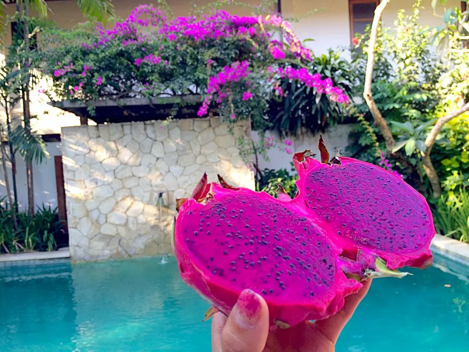 Snapdishの料理写真:DragonFruit❗️ドラゴンフルーツ|🌈Ami🍻さん