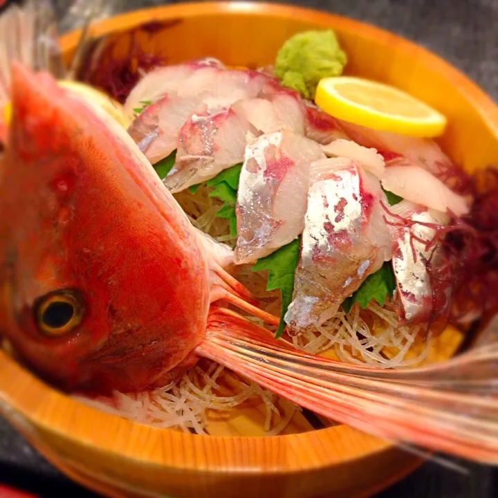 Snapdishの料理写真:ホウボウ刺身 ( Sea Robin Fish )|チェリーリンさん