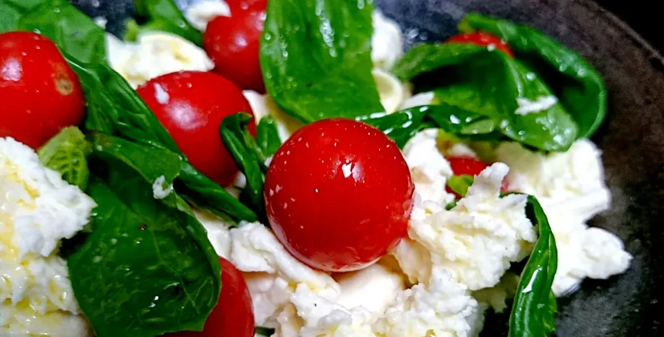 Insalata caprese lievemente violenta|Naoki.Mさん