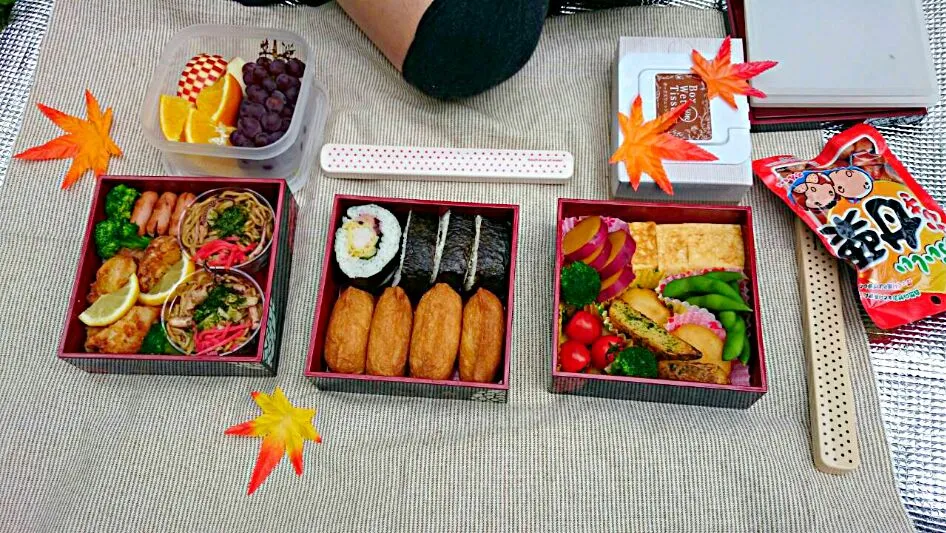 Snapdishの料理写真:秋お弁当|もぐさん