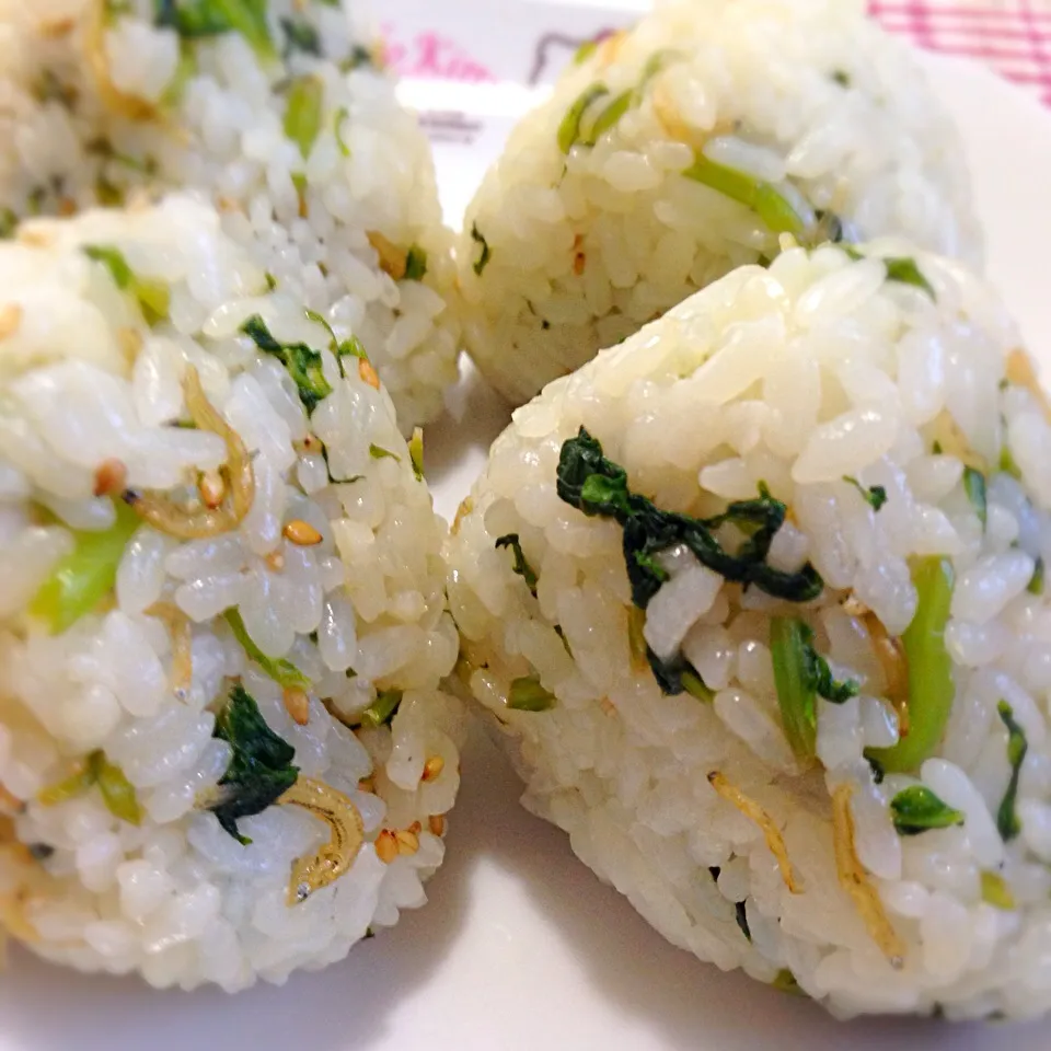 佐倉さんの料理 間引き大根の芽としらすのおにぎり|きたろうさん