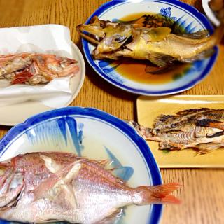 ハタハタ一夜干しにしてフライパンで焼いた Sasaちゃんこ Snapdish スナップディッシュ Id Yscnra