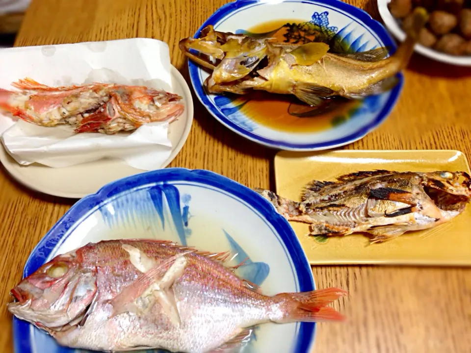 Snapdishの料理写真:カサゴの素揚げ、黄ハタの煮付け、メバルの塩焼き、花鯛の酒蒸し|KSさん