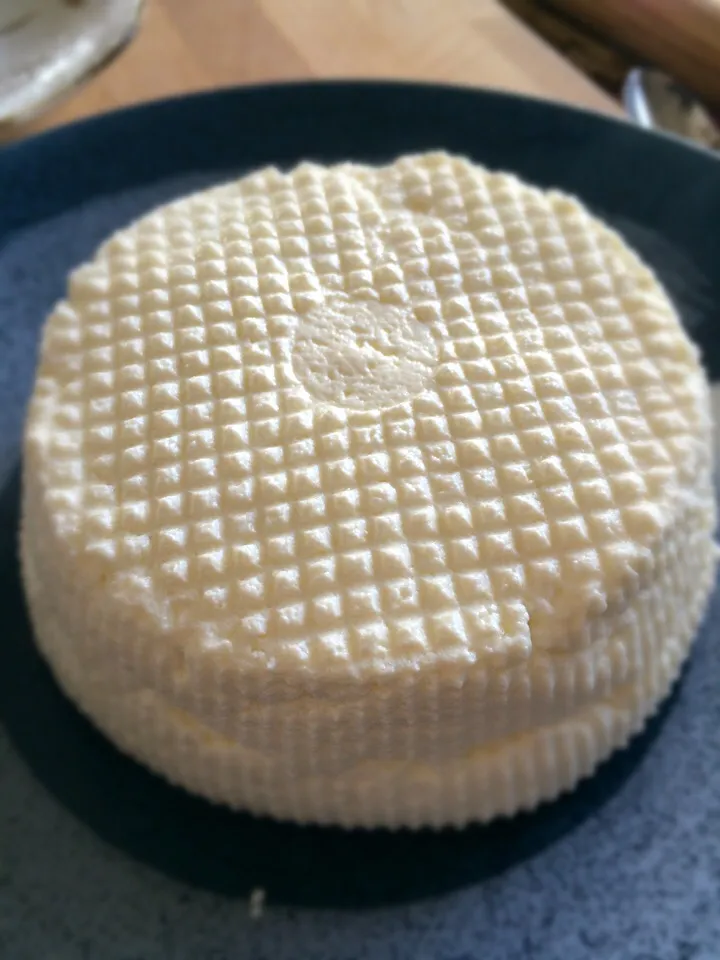 Homemade fresh cheese;)|aястасияさん