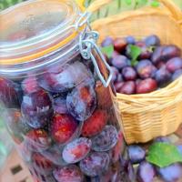 クエッチのリカー