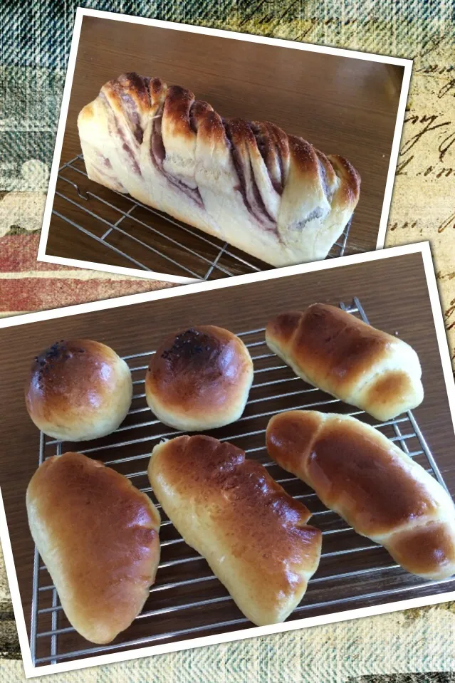 真っ昼間のパン屋さん🍞|かまさん