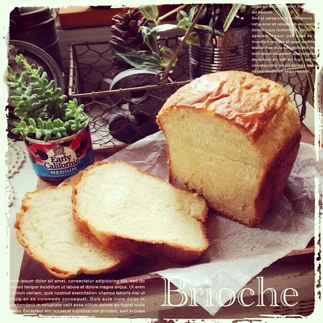 ☆バターたっぷり Brioche♡|ひぃふぅmama♪さん