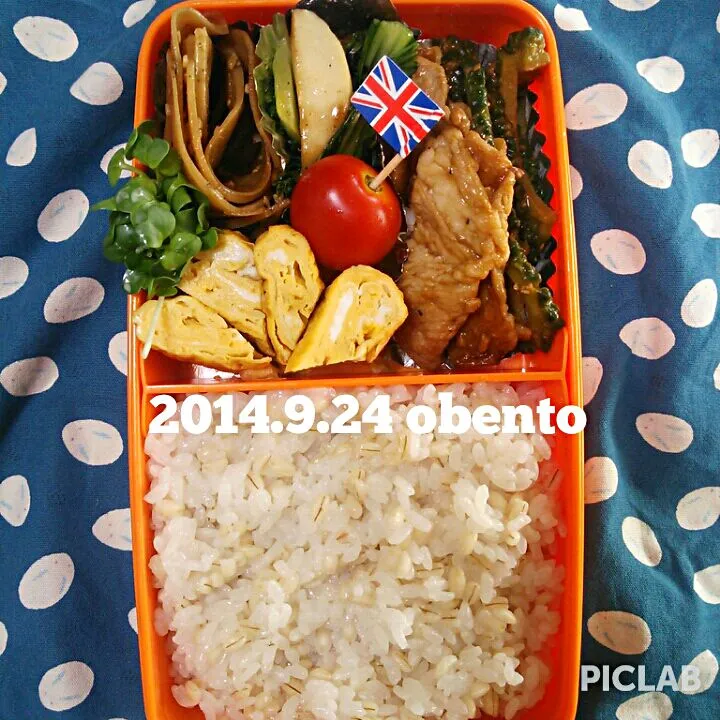 今日のお弁当🍱|sghrstkさん