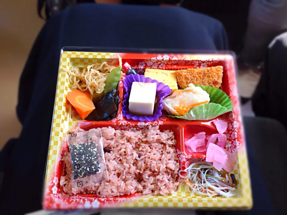 恩師と並んで電車で昼弁当|mamiさん