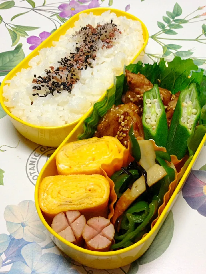 Snapdishの料理写真:今日のＪＫ弁当|kokoさん