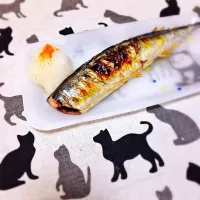 Snapdishの料理写真:秋刀魚を焼いたら猫が…|taichijungleさん