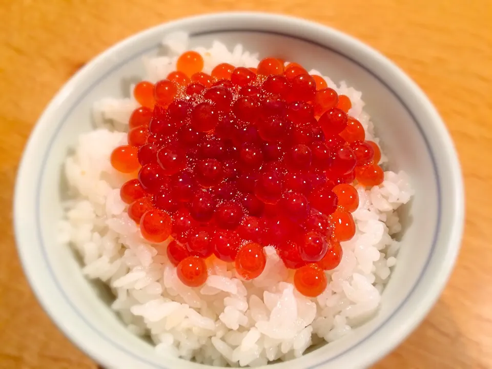 Snapdishの料理写真:昨日作ったイクラ醤油漬けを熱々ご飯にかけて|doc3387さん