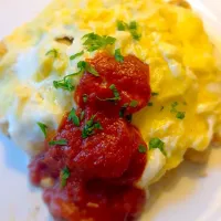 Snapdishの料理写真:Soft-cooked omurice 蛋包饭|Desangさん