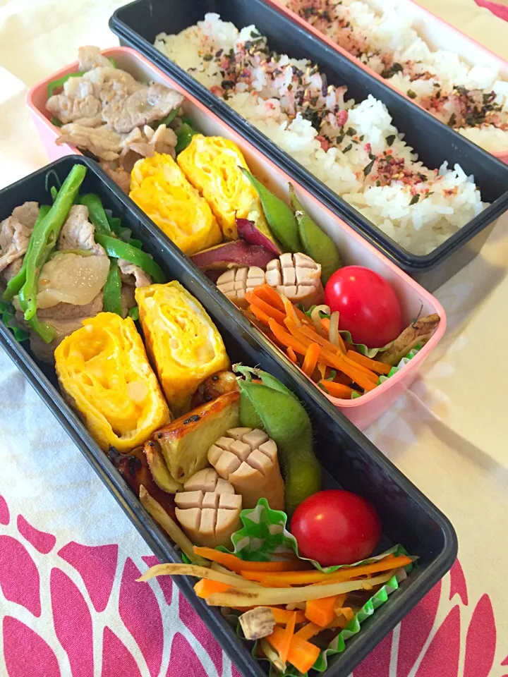 9月26日✨パパママ弁当|masamiさん