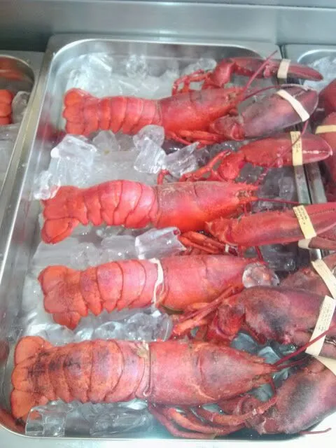 lobster day..... love it|Rodrigo Sosaさん