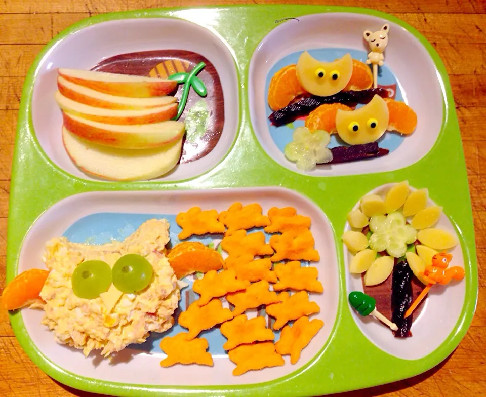 Snapdishの料理写真:Owl Bento Lunch|Cheryl Melnickさん