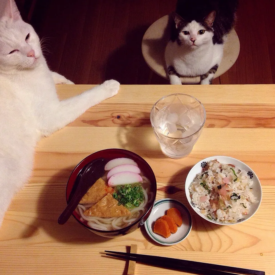 ミョウガの甘酢漬け、大葉、すり胡麻、で混ぜご飯✽
キツネうどん✻|naouさん