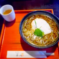 Snapdishの料理写真:山かけそば|とーふさん