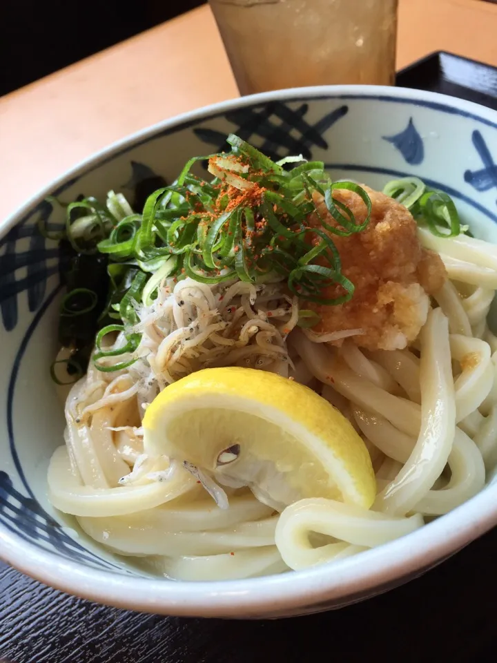 ✨おはうどん✨|中さんさん