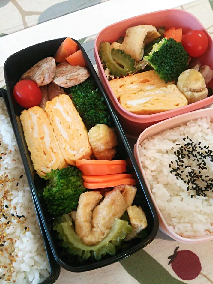 今日のお弁当|chiinaさん