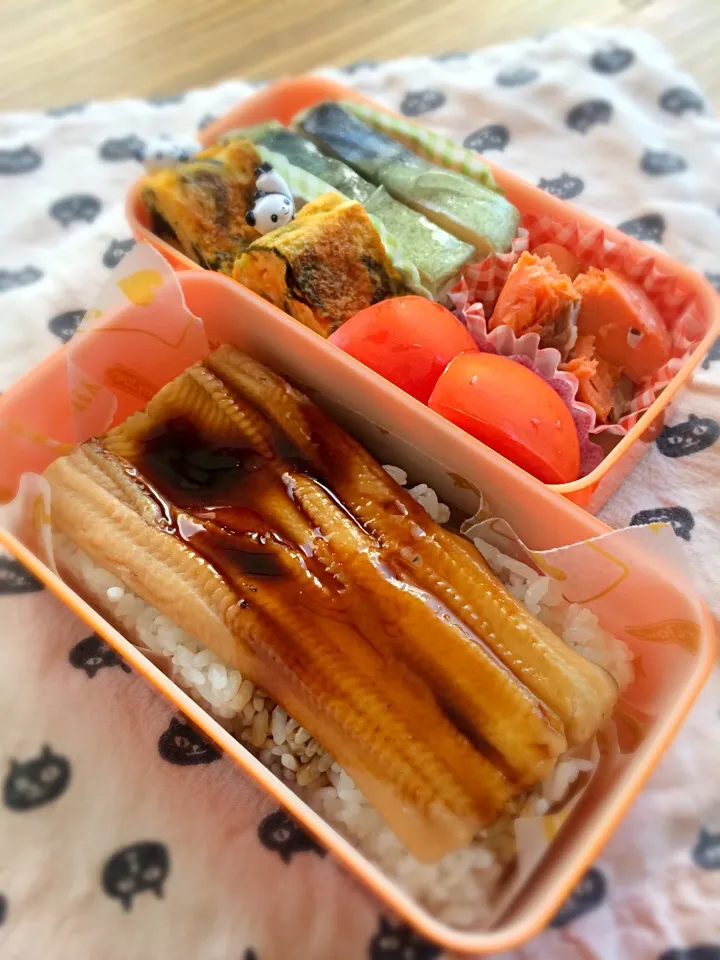 ＊お弁当＊ 買ってきた穴子寿司とサバ押し寿司 卵焼き 焼き鮭 トマト|pinoyamaさん