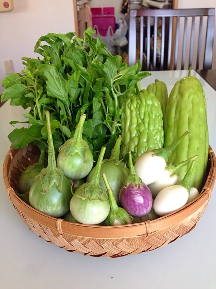 ผักสวนครัว thai vegetables|sirakorn owadaさん