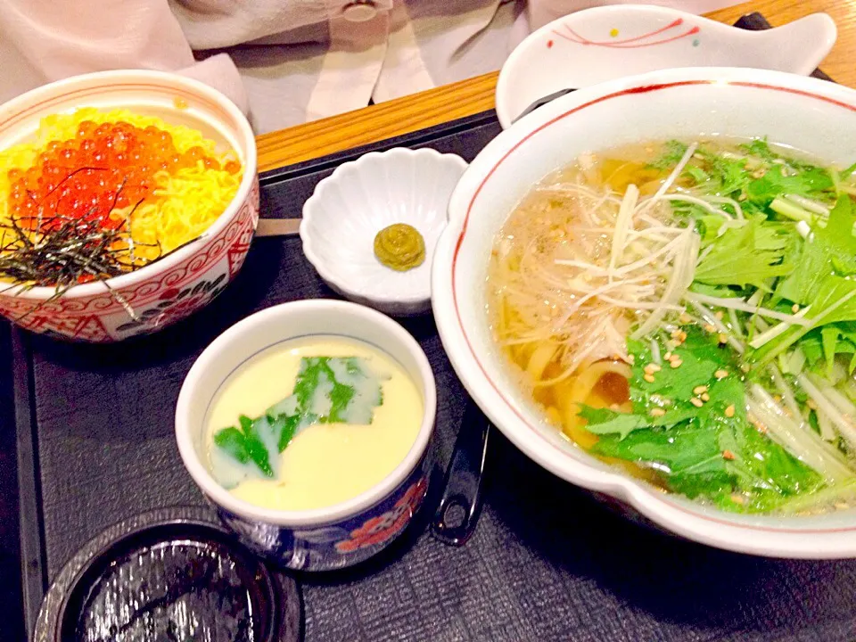 Snapdishの料理写真:豚肉と水菜のハリハリうどん  と 小いくら丼 セット|あぼちさん