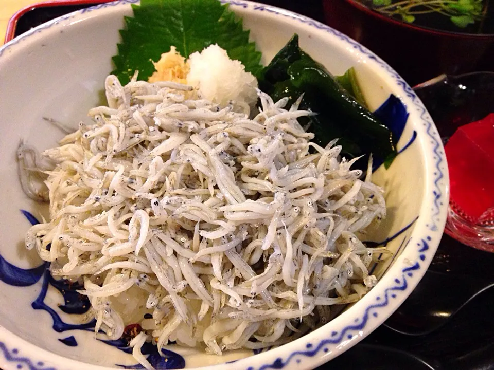 しらす丼！|さほこさん