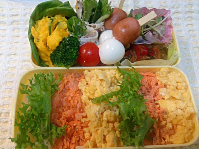 子どもパステルごはん弁当|りんりんさん