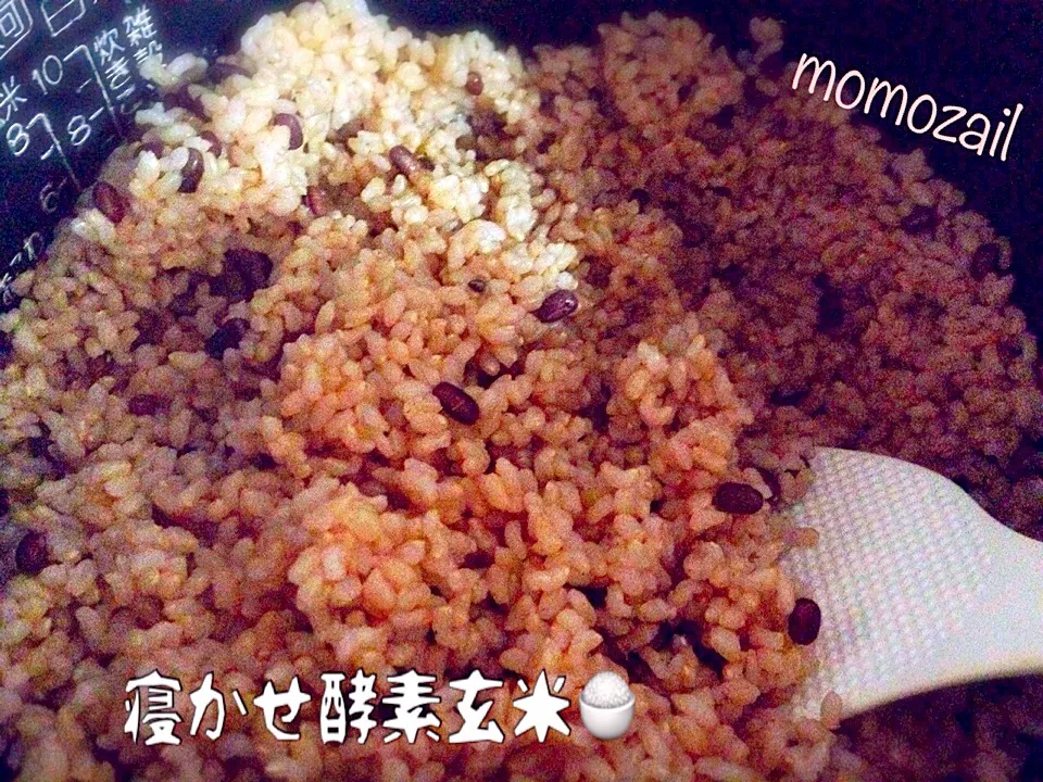 🍀ロハスな 寝かせ酵素玄米ご飯（職場のカフェで毎日炊いてます）|けいちゃん（ももザィル）さん