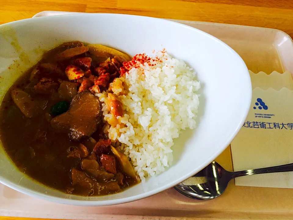 学食☆芸術祭の限定カレー|meguさん