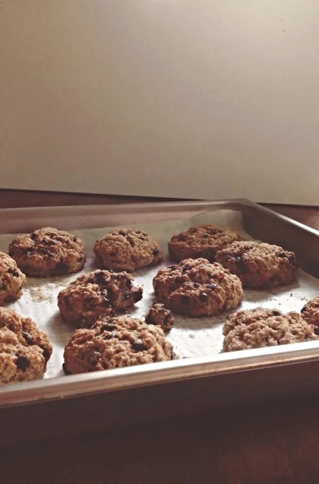 チョコレートチップスコーンHealthy Chocolate Chip Scones. Made with Greek yogurt and Wholewheat flour, these take minutes to make and taste even better than a chocolate chip |brendieeeさん