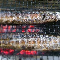 Snapdishの料理写真:秋刀魚の塩焼き|Masayuki Ooshiroさん