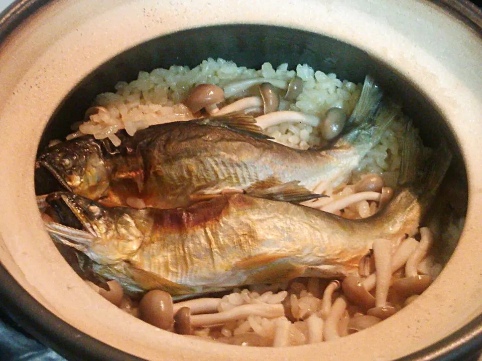 Snapdishの料理写真:土鍋で天然鮎の炊き込みご飯＼(^^)／
Cooked rice with sweet fish, called ayu.|quitaさん