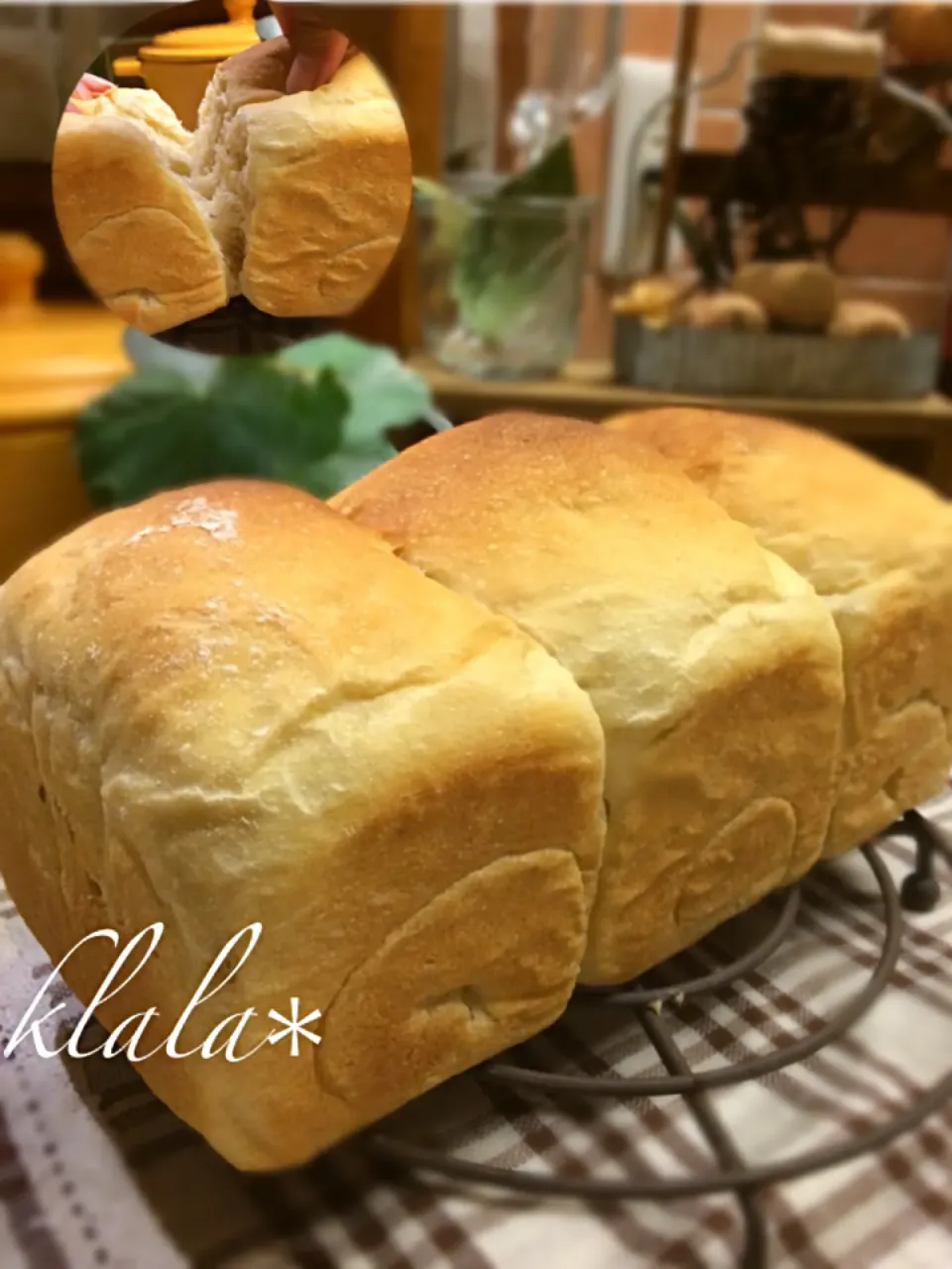 マンゴー酵母でミニ食パン🍞|くららさん