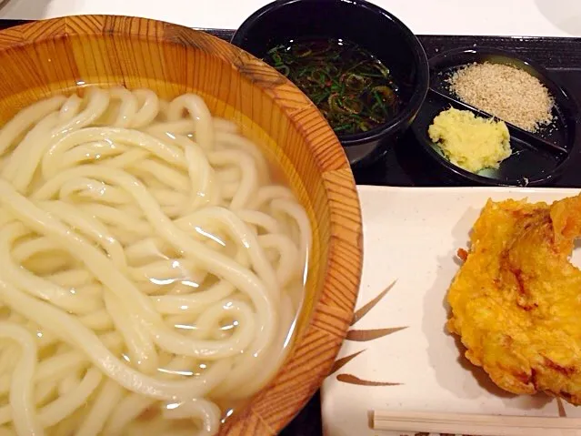 本日は釜揚げうどんが半額！よって260円也(#^.^#)|マリリン☆さん