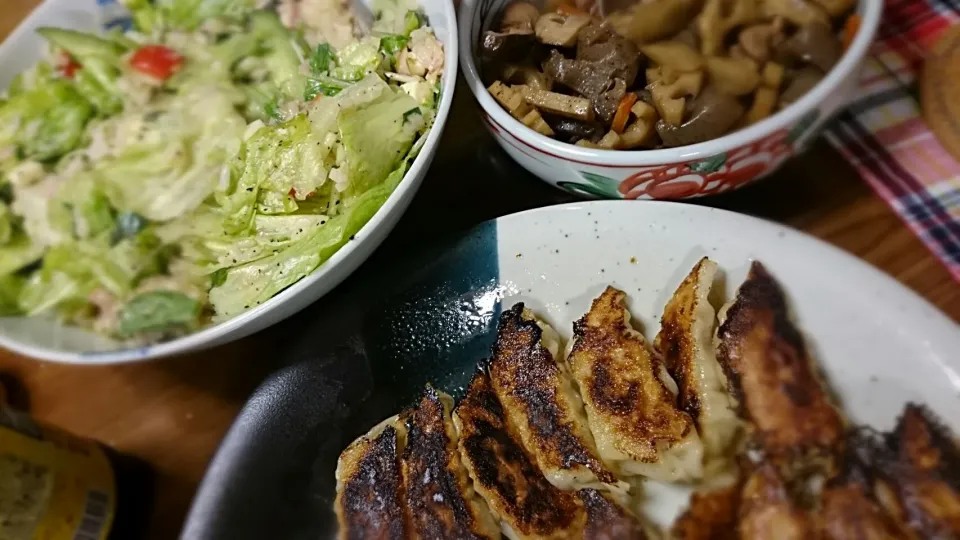 ぎょうざ、ライスサラダ、野菜と鶏肉のうま煮です。友達が来てくれた時の料理です。|tomingさん