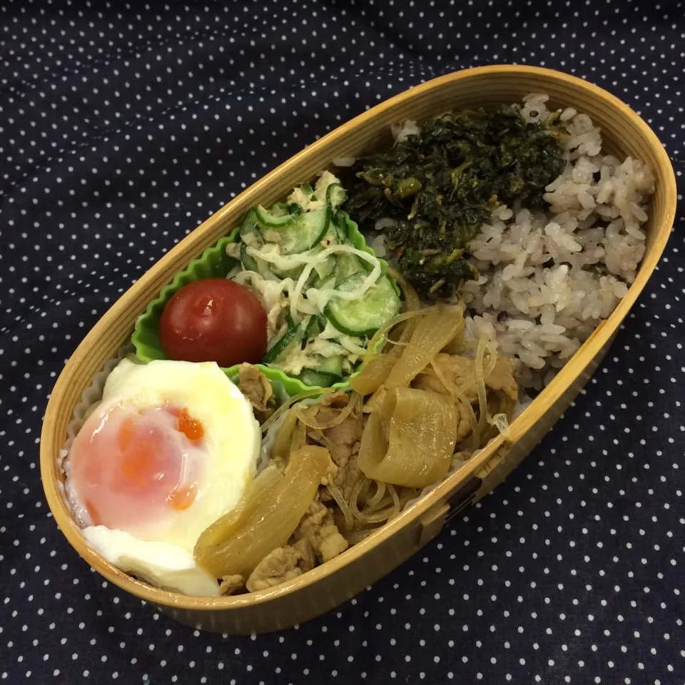 弁当（すき焼き風春雨、なんちゃって温泉たまご、キュウリとツナのサラダ、木胡椒佃煮）|SasaMasa213さん