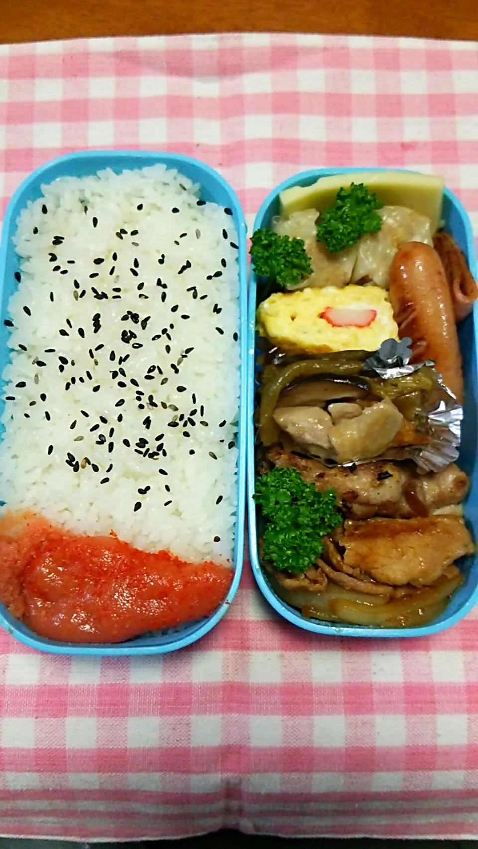 Snapdishの料理写真:ママ用弁当|Nanami Izumiさん