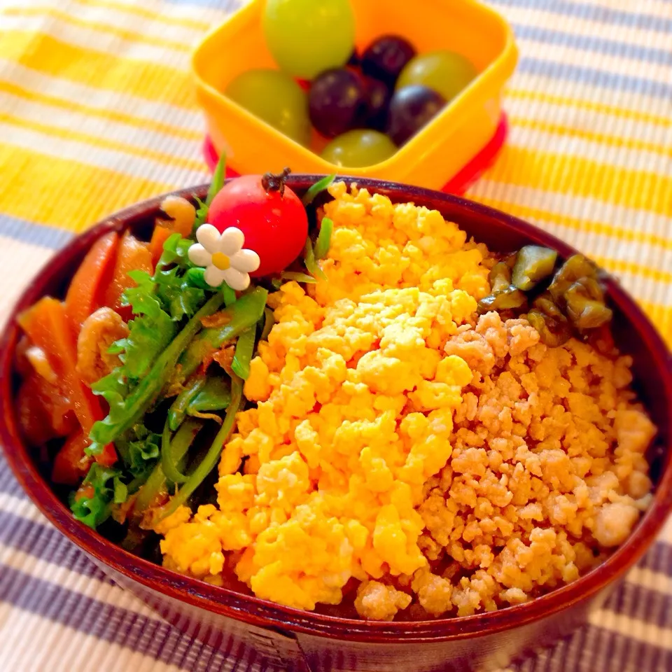 三色丼弁当|Nagashima  Yukoさん