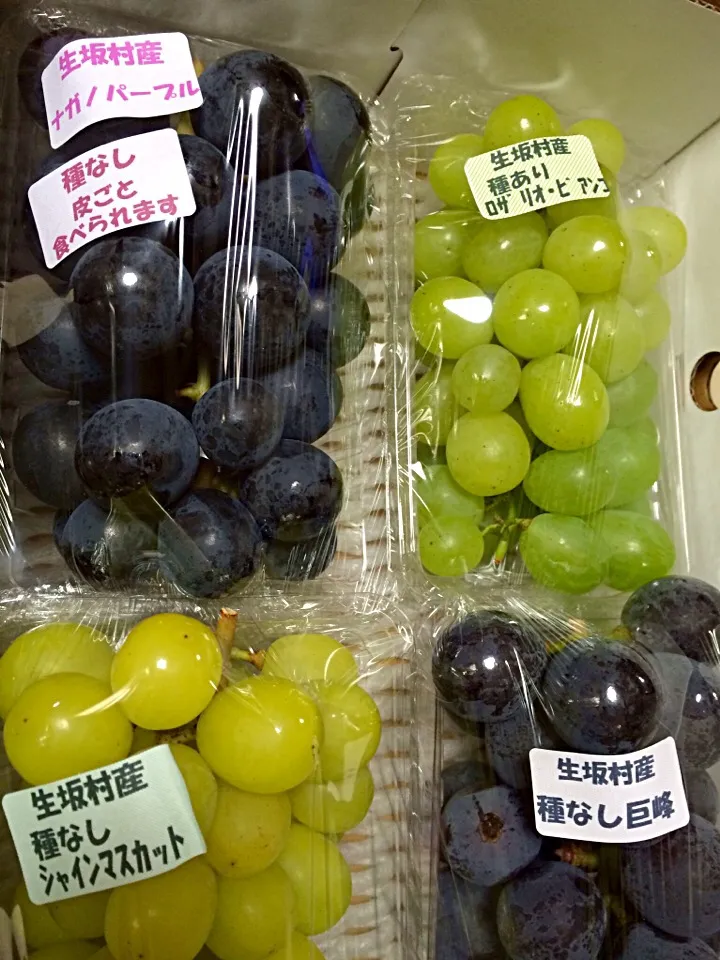 🍇 風の社農園 ナガノパープル|hamamaさん