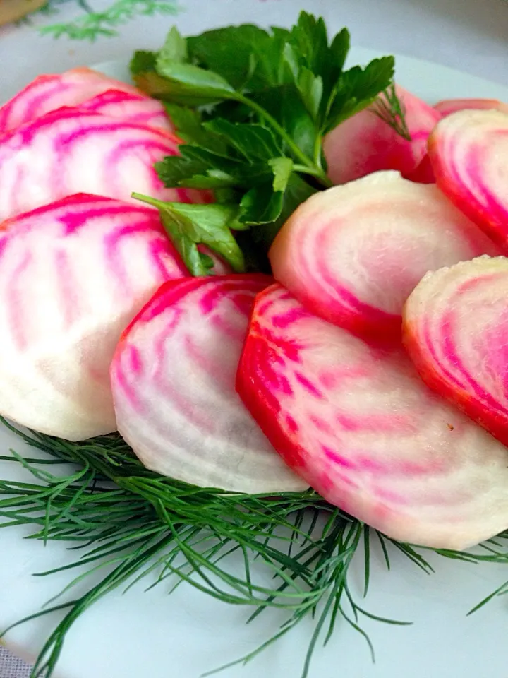 Fresh chioggia Beet|Aliceさん