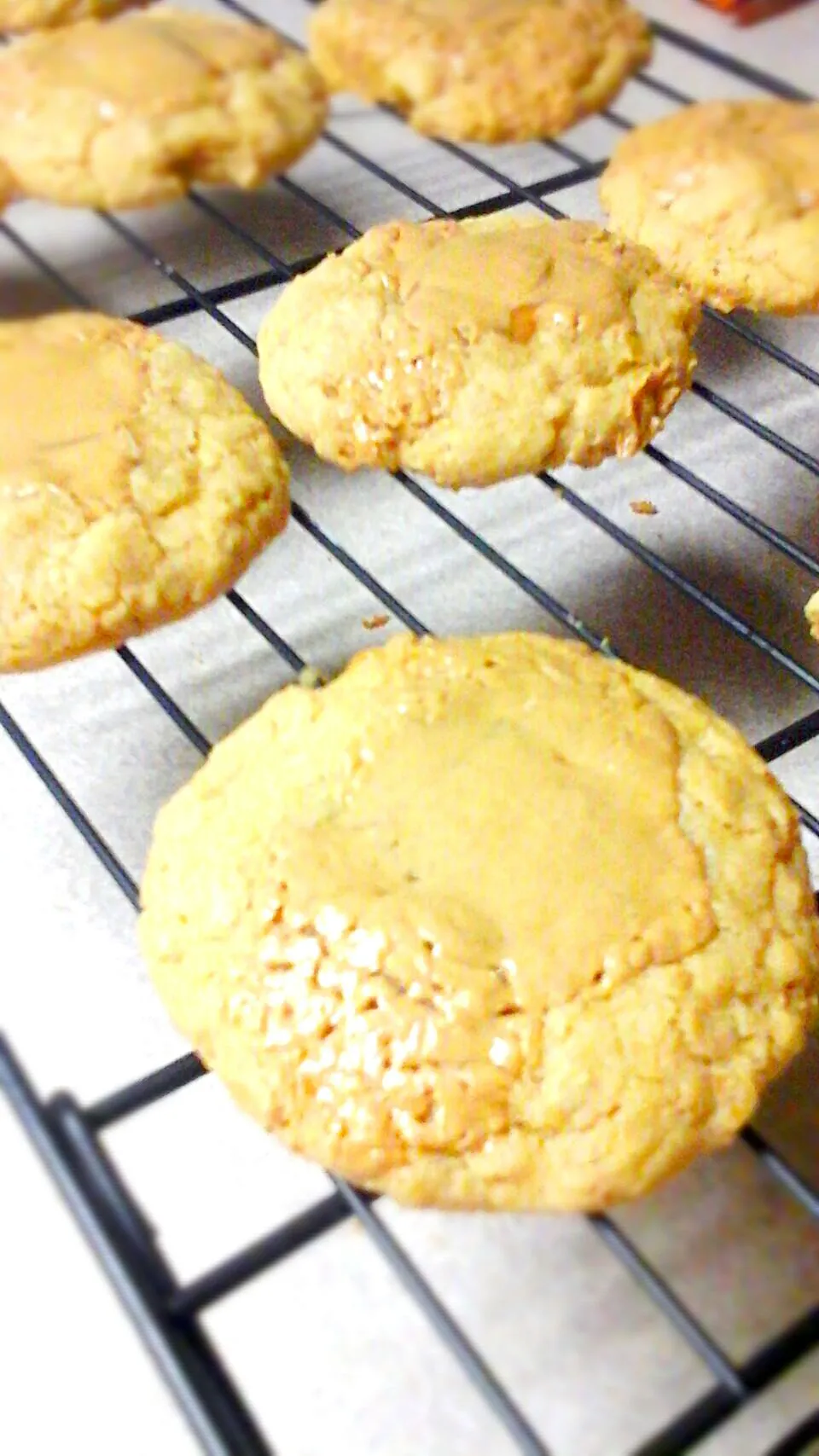 brown butter oatmeal cookies with caramel and peanut butter|Haley Crider Williamsonさん