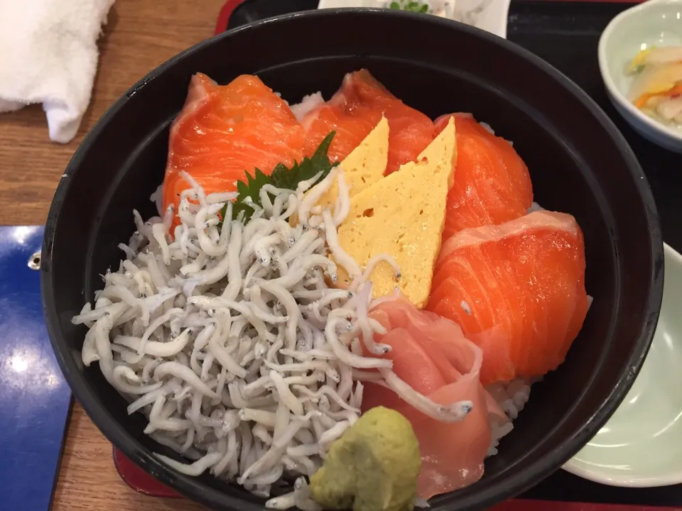 日替り丼(サーモンしらす丼)|to-takeさん