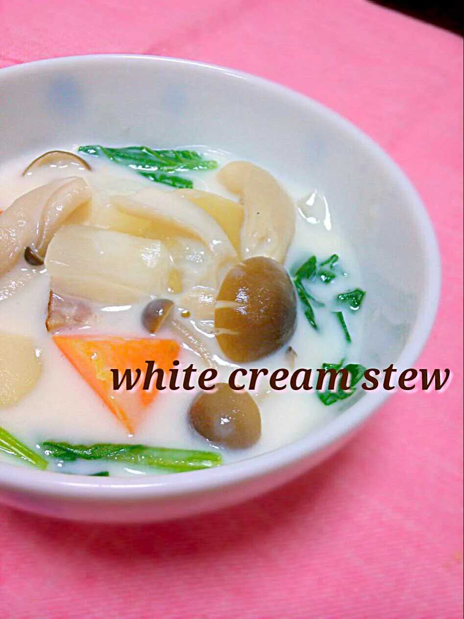 white cream stew!!|和田 匠生さん