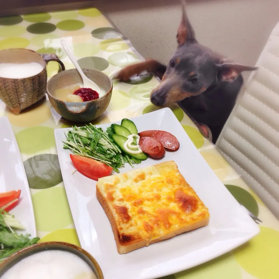 Snapdishの料理写真:たくさん作ったアップルコンポートを食べきった朝でした。チーズトーストの朝食。|うさ爺さん