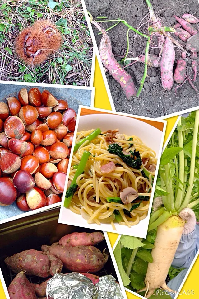 秋の味覚狩り🌰と 大根菜とベーコンのオイルパスタ|じゅんこっこさん