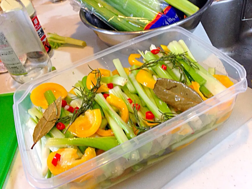 Making celery pickles|viviさん