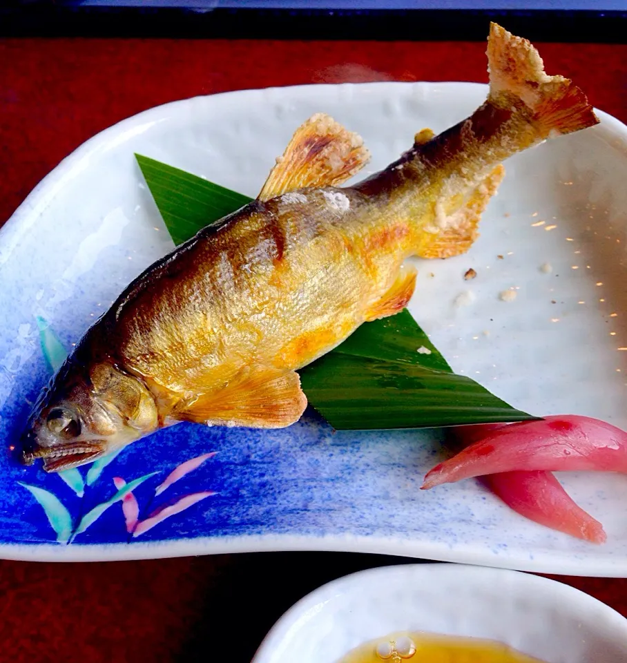 鮎定食の鮎の塩焼き|ドヒ キヨシさん