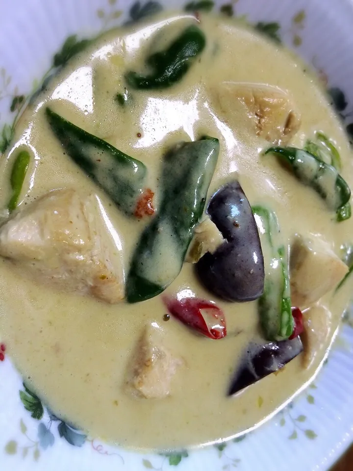 Snapdishの料理写真:Thai green curry - グリーンカレー|cocoaさん